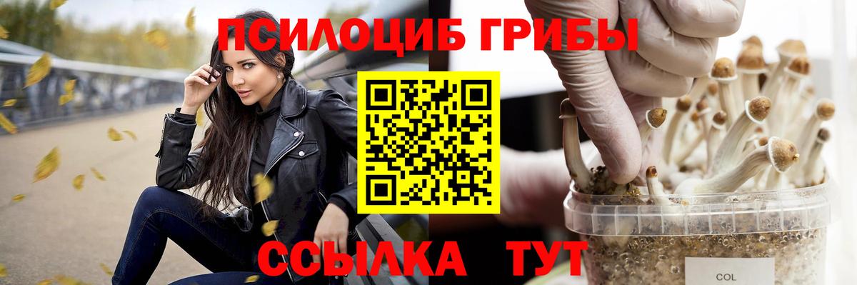 Тайшет  Псилоцибиновые грибы Magic Shrooms  Псилоцибиновые грибы Psilocybine cubensis  Вход с VPN 